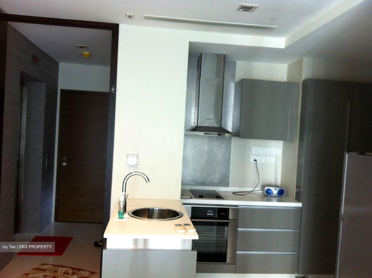 The Suites At Central (D9), Condominium #370595241